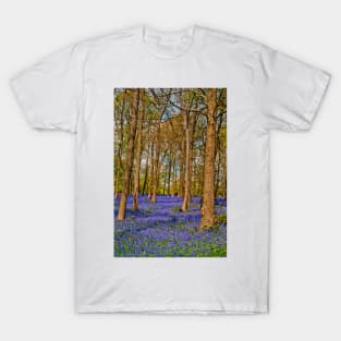 Bluebell Woods Greys Court Oxfordshire England T-Shirt